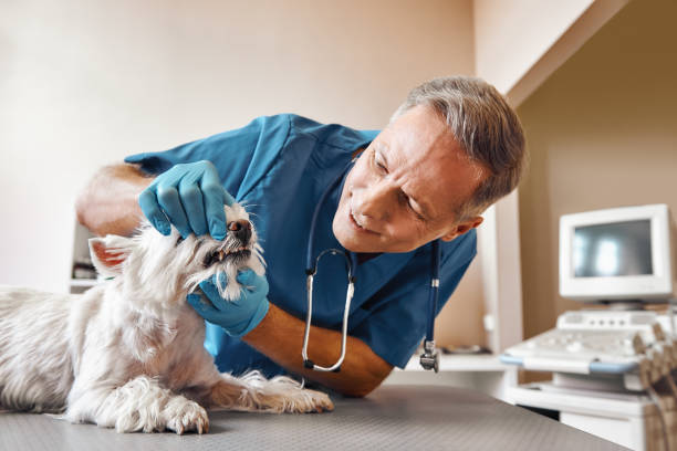 Best Emergency Tooth Extraction in Tyrone, OK